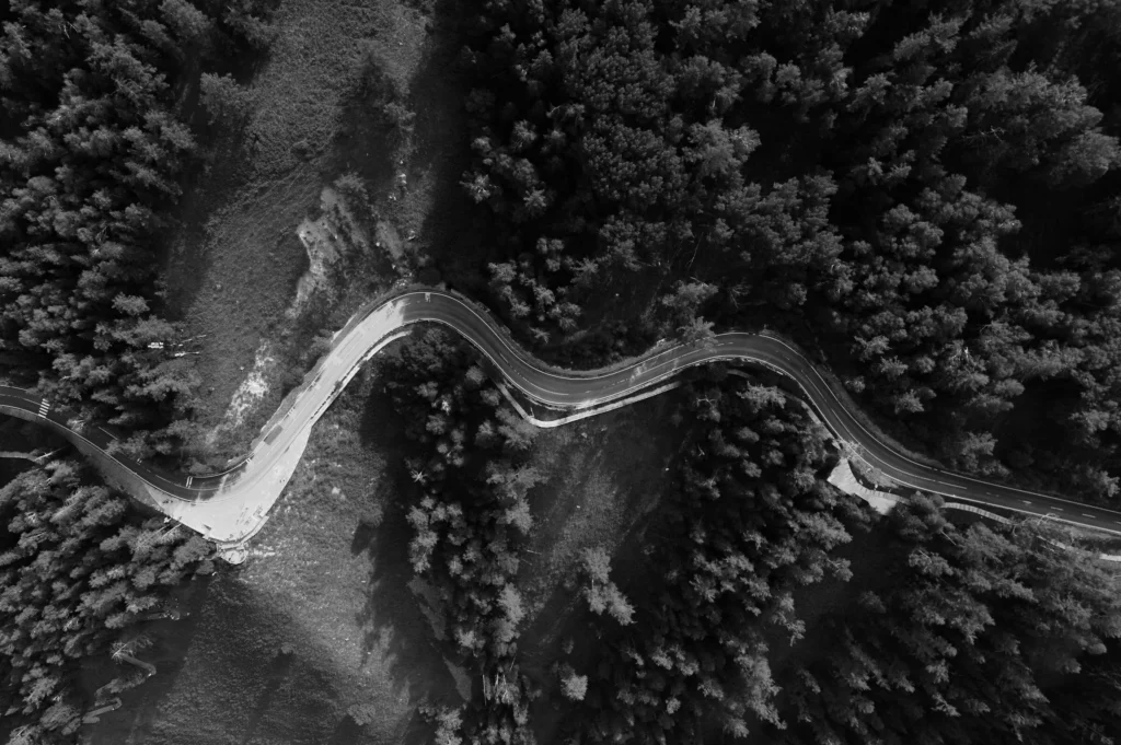 Estrada vista de cima com vegetação e arbustos nas margens